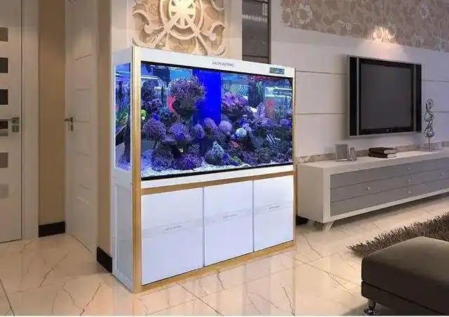 鱼缸可以放在客厅什么位置?阿克苏全优装饰悄悄告诉你