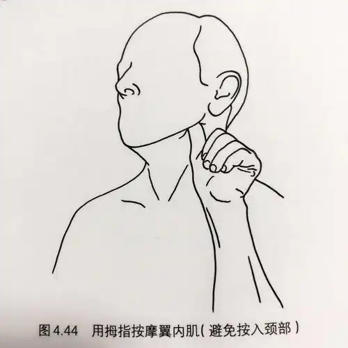 颞肌按摩:利用手掌根部反复按摩颞肌区域.