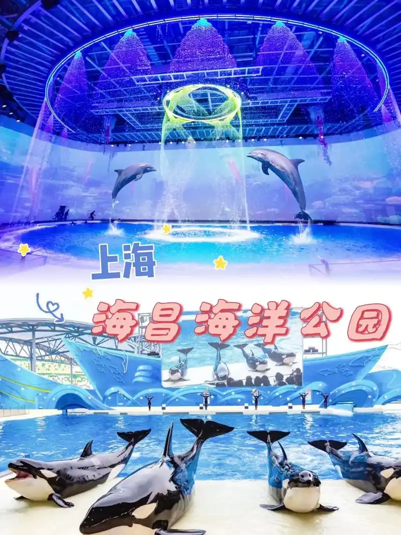 上海海昌海洋公园|超全攻略.收藏这一份攻略99 一天刷完所有 - 抖音