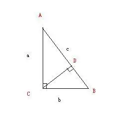 直角三角形的高