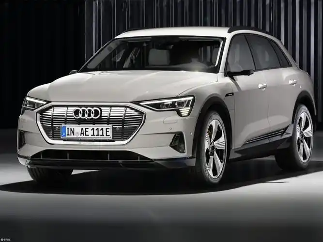 【2020款奥迪e-tron(进口)55 quattro 时尚型_整体