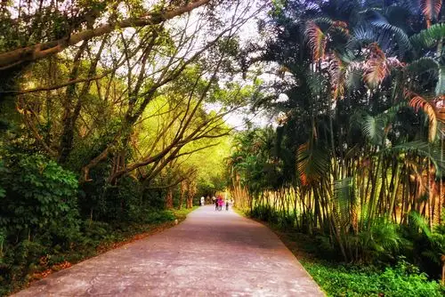 自然恬静之美的田心森林公园