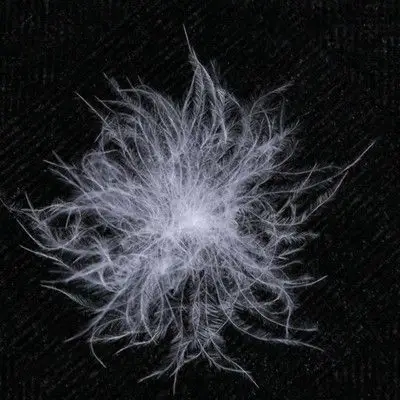 羽绒服加工厂家提醒:"羽绒""羽丝绒"一字之差,别被忽悠了!