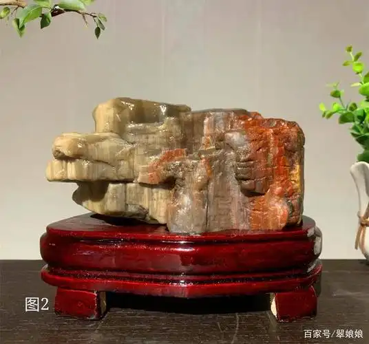 木化石主要根据其品质,大小及硅化程度综合评定其价值,这里面以硅化