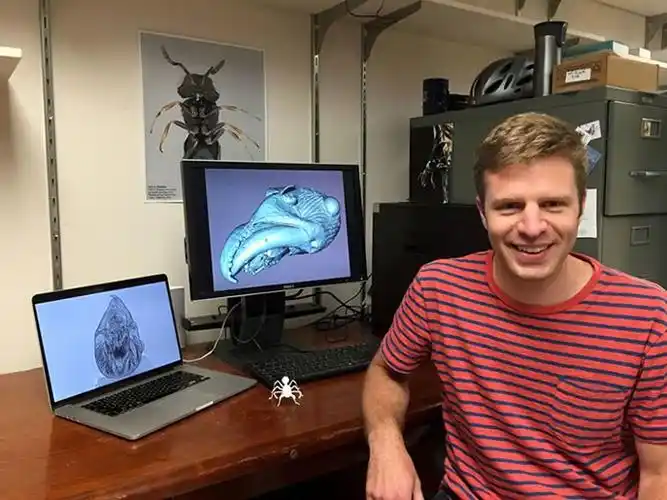 吸血鬼蚂蚁是地球上咬合速度最快的生物相当于时速320公里