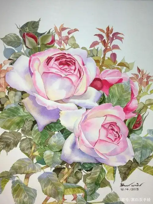 超美的水彩范画,动手试试