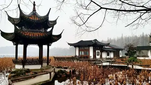 曲院风荷(中). 2019.1.9拍摄于杭州西湖.