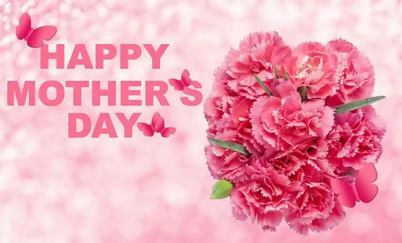 郏县薛店镇育英幼儿园 中一班 —— 3月8日全国妇女劳动节《让爱住我