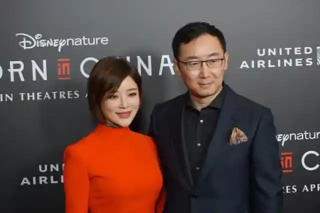 谜一样的秦岚游离了2个男人之后还能优雅单身多久