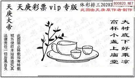 2020274期正版天庚p3图谜