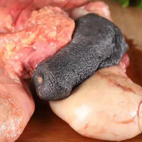 新鲜驴鞭生鲜正宗驴殖生散真空1000g包邮河北驴肉