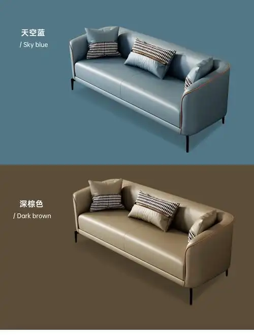 沙发客厅小户型新款免洗科技布轻奢单人双人三人公寓卧室服装店网红款