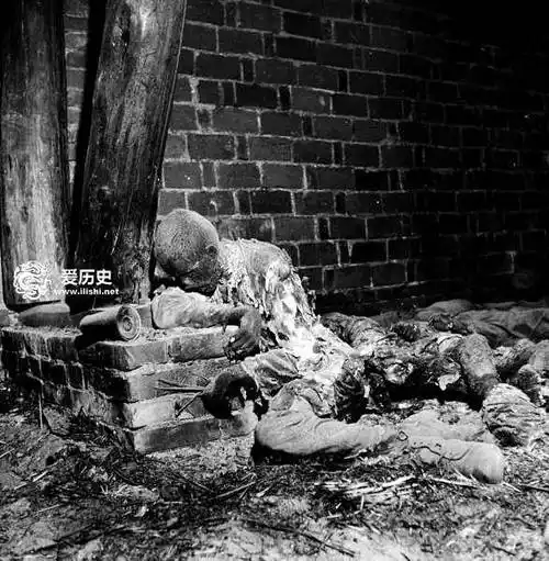 纳粹格德林根大屠杀上千人被关进谷仓活活烧死