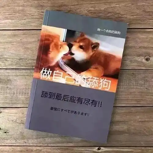 我他妈直接哭了