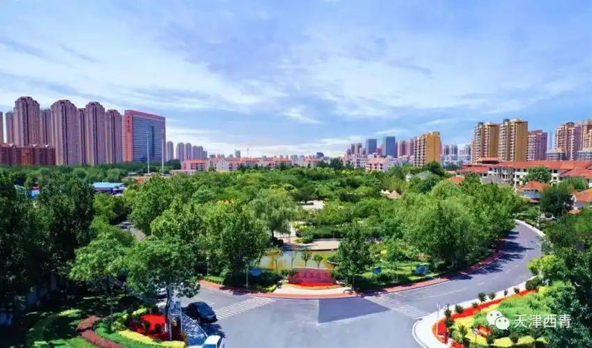 天津市西青区民心工程项目人大代表票决制工作领导小组办公室2019年8