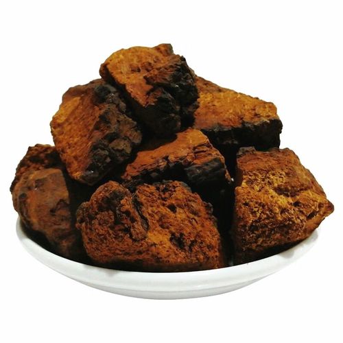 东北桦树茸白桦树茸茶桦褐孔菌树黄250g桦树泪有黑晶黑金颗粒