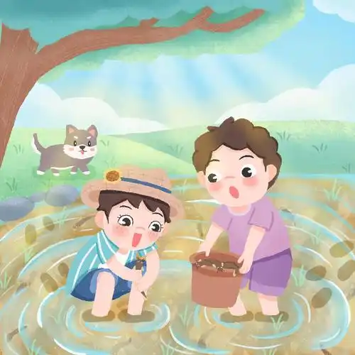 是稻田里抓到的一条条泥鳅.