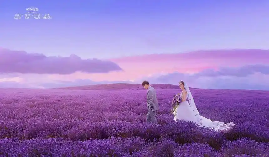 薰衣草婚纱照