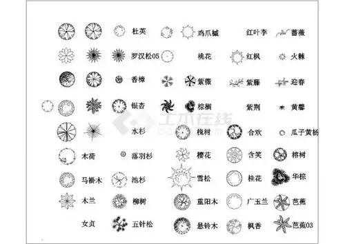 非常齐全---带植物名称的cad植物平面图例