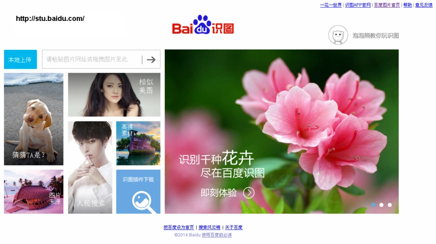 能不能用一张植物图片用百度搜索