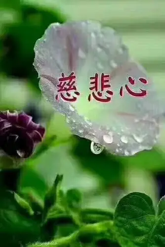 禅悦佛心:【人善 人欺 天不欺】善良的人心胸坦荡,没有私心杂念,不会