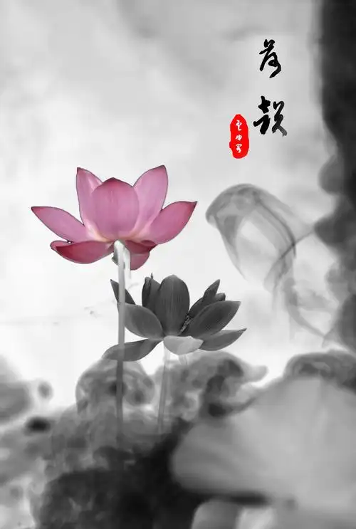 水墨荷韵清香来