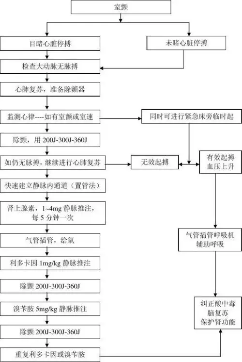 室颤抢救流程图
