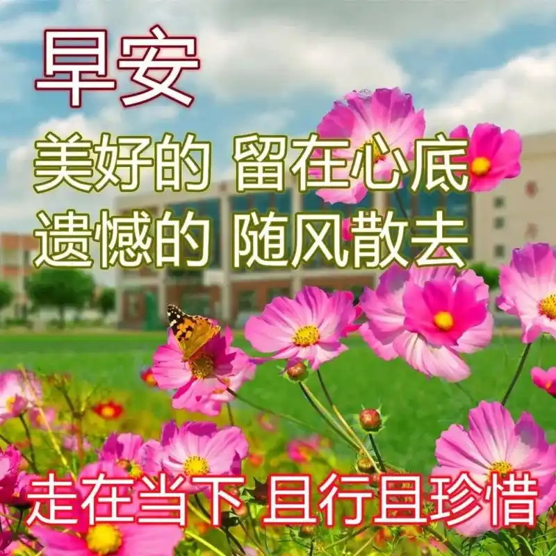 春季早安温馨祝福语鲜花图片唯美带字 最美早安阳光问候经典短句