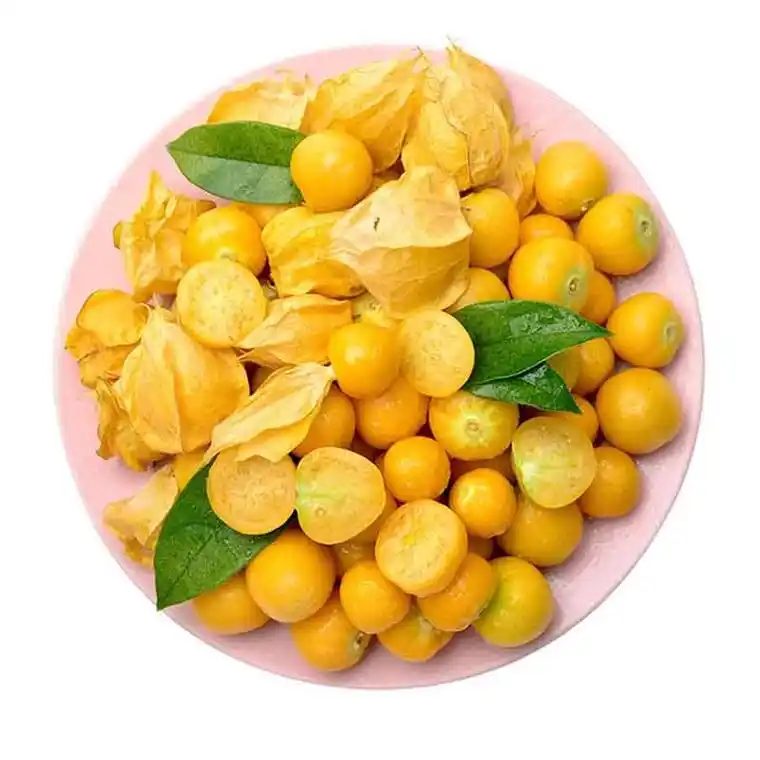 新鲜姑娘果东北特产菇娘果灯笼果2斤新鲜水果视频