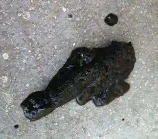 猪肝,杨梅果酱,桑葚果酱等颜色较深的食物也会导致大便的颜色加深