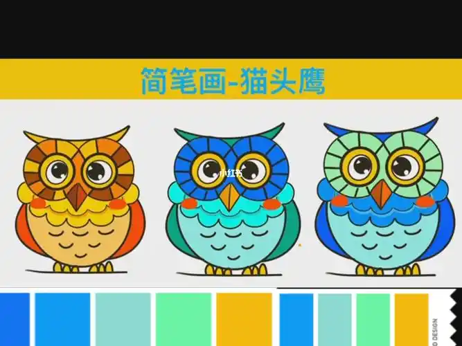 简笔画猫头鹰第二篇上色