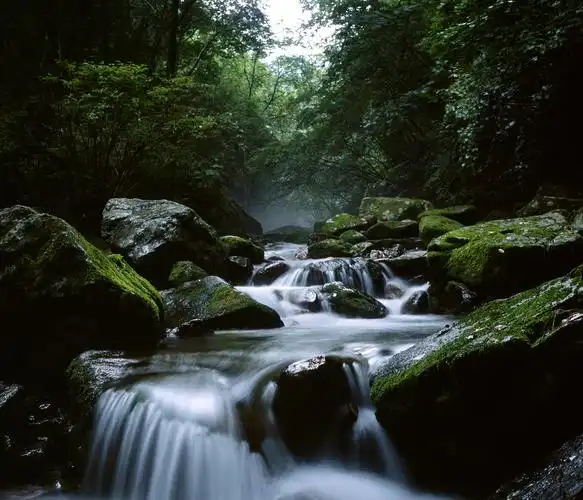 本溪汤沟绿石谷国家森林公园图片