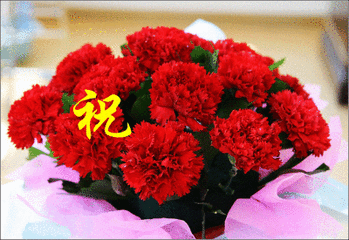 祝贺动态4.gif