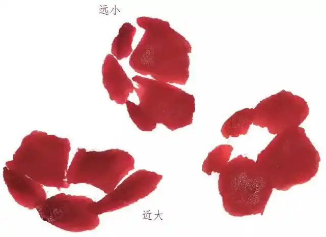 梅花形态画法大合集,写意梅花这样画_花头
