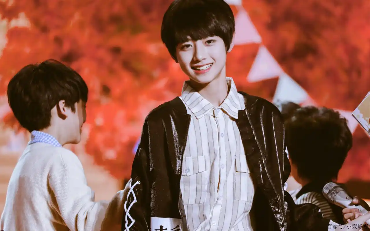 tf家族三代成员