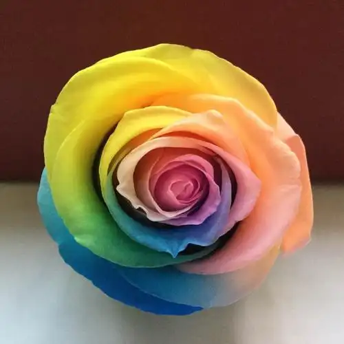 保鲜七色花diy礼盒456cm渐变永生七彩玫瑰玫瑰花永生花