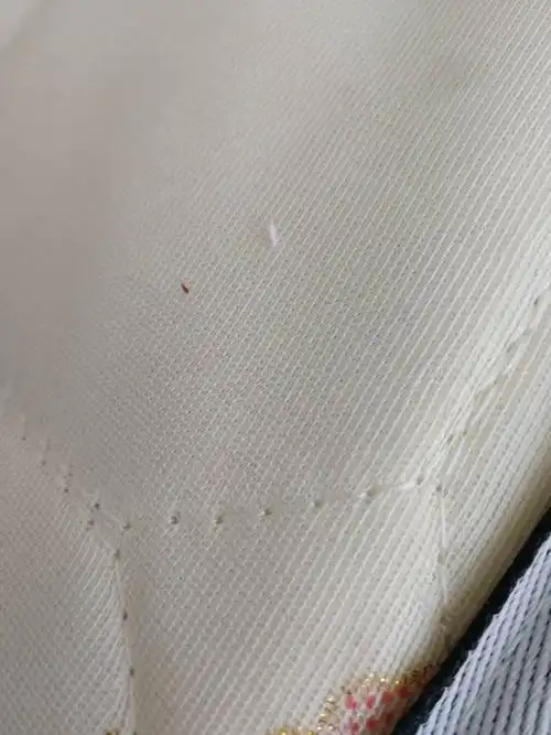 请问一下 这是什么虫子