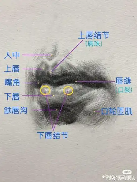 素描嘴巴如何画的饱满?学学这些方法和干瘪嘴巴说再见!