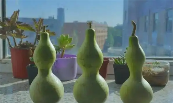 窗台上放几个葫芦对风水好,葫芦摆窗台中间好还是两边好图2