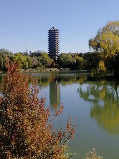 北京大学校园未名湖秋韵