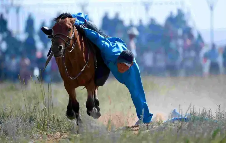 草原赛马不仅风驰电掣 内蒙古骑术也是一直被模仿 但从未被超越