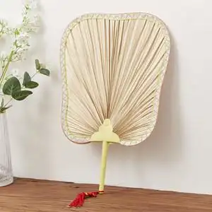 扇子芭蕉形图片