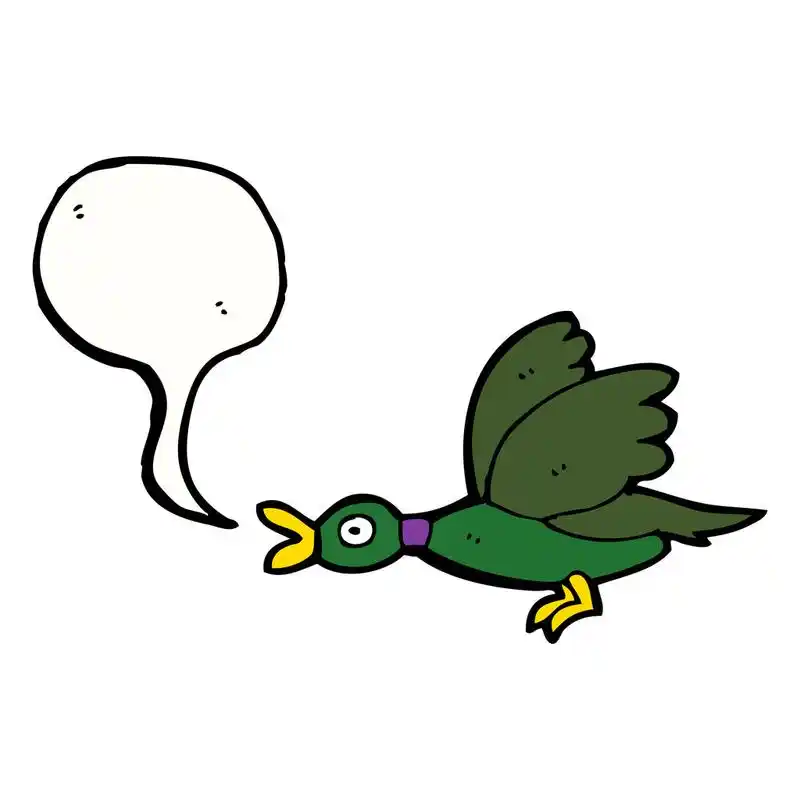 飞鸭,矢量, 卡通白色背景上的鸭子飞