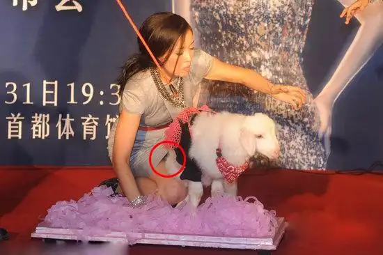 盘点意外摔倒春光大泄的女星(图)