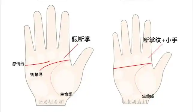 断掌纹好吗?【老胡看相】