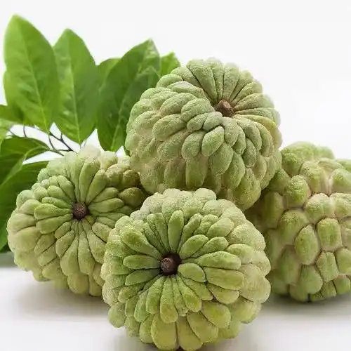 热带水果大全都有哪些(八种热带水果快来实现水果自由)