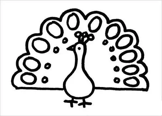 孔雀正脸的简笔画