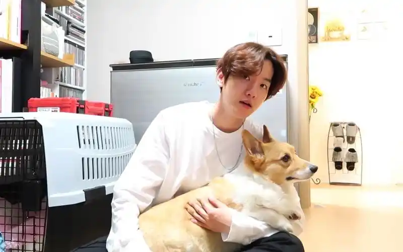 kyoongtubebaekhyun伯贤儿的vlog梦龙儿贤tube柯基tube像主人