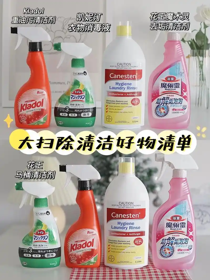 家庭大扫除必备清洁剂6015从此爱上大扫除.