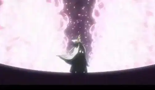 死神人物传记之内热外冷的贵族男神朽木白哉